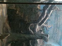 android_upload_pic-石家庄市动物园