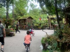 -青城甲(青城山店)