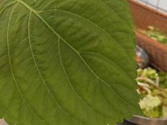 -双门洞·珍珠家韩式烤肉(永丰社区八区店)