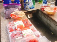-吴淞炮台湾湿地森林公园烧烤区