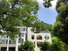 -龙坞茶村