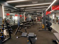 -金吉鸟健身游泳