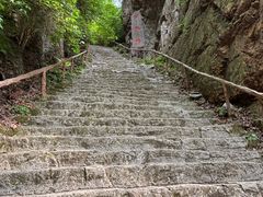 -天女山森林公园