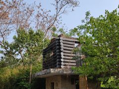 -华侨城湿地公园