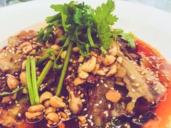 -陈麻婆豆腐总店