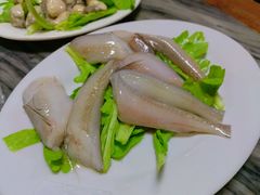 -金砂阿洲鱼册店