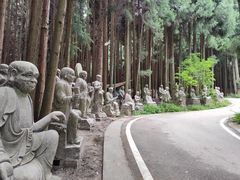 -武陵山森林公园