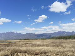 -野鸭湖国家湿地公园