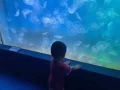 -左海海底世界