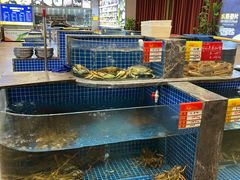 -骏莱海鲜鱼港(五角场店)