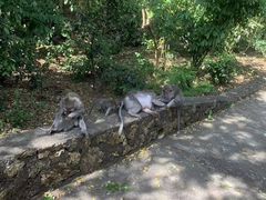 -乌鲁瓦图寺