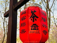 -隆兴寺