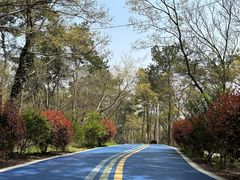 -南京金牛湖风景区