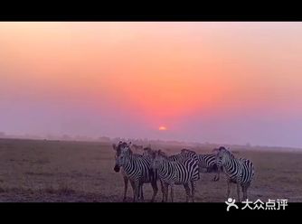 狂野非洲，不一样的风情
