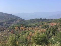 -塔川景区