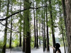 -东湖落雁景区