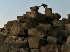 -太原动物园