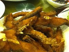 20110512&nbsp;009-旭龙鱼头王(航华店)