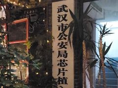 -伟伟宠物医院·CT影像中心·瑞派犬猫综合性门诊(汉口总院)