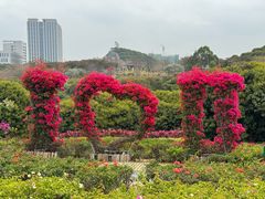 -东莞植物园