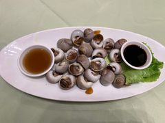 雪汁扁螺-高佳庄·舟山海鲜(海景旗舰店)