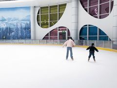 -世界之窗阿尔卑斯冰雪世界