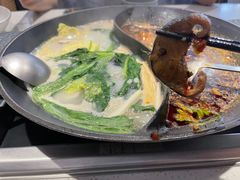 -新辣道鱼火锅(西直门店)