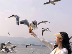 -滇池海埂公园