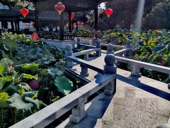 -丝绸小镇荻港古村