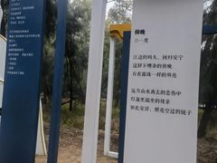 -大京沙滩