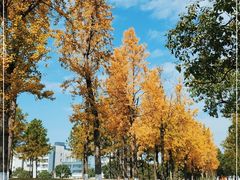 -美兰湖景区