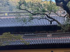 -普陀山风景名胜区-法雨禅寺