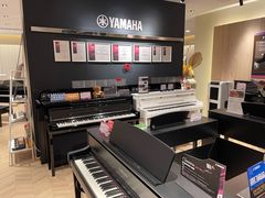 -雅歌音乐培训中心·钢琴培训·乐器培训(交道口店)