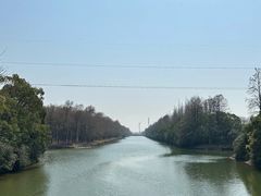 -上海海湾国家森林公园