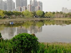 -堤角公园
