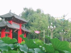 -四川大学(望江校区)