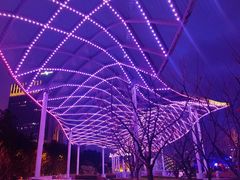 -新龙船黄浦江餐饮游船官方自营店