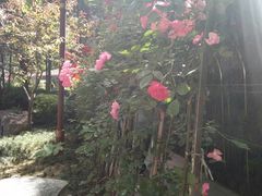-西安曲江寒窑遗址公园