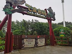 -广州长隆飞鸟乐园