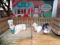 -佟小曼手工茶饼坊(鼓浪屿1店)