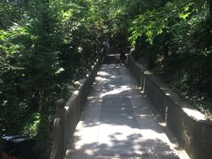 -上海佘山国家森林公园西佘山园