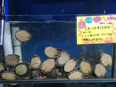 -蚝专家(北滘店)
