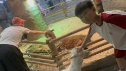 -Zoolung Zoolung动物主题公园(海信广场店)