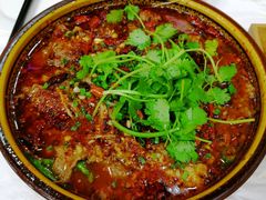 水煮耗牛肉-乡土特色.冷锅鱼.牦牛肉汤锅