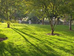 -堤角公园