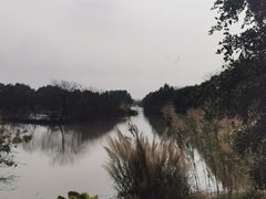 -大湾区中央湿地公园