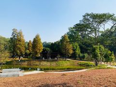 -中山市树木园