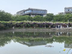 -嘉定紫藤园