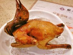 红烧乳鸽-点都德(大茶楼店)