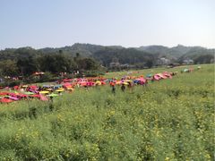 -红山村